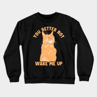 You Better Not Wake Me Up Cat Mom Cat Lovers Funny Cat Crewneck Sweatshirt